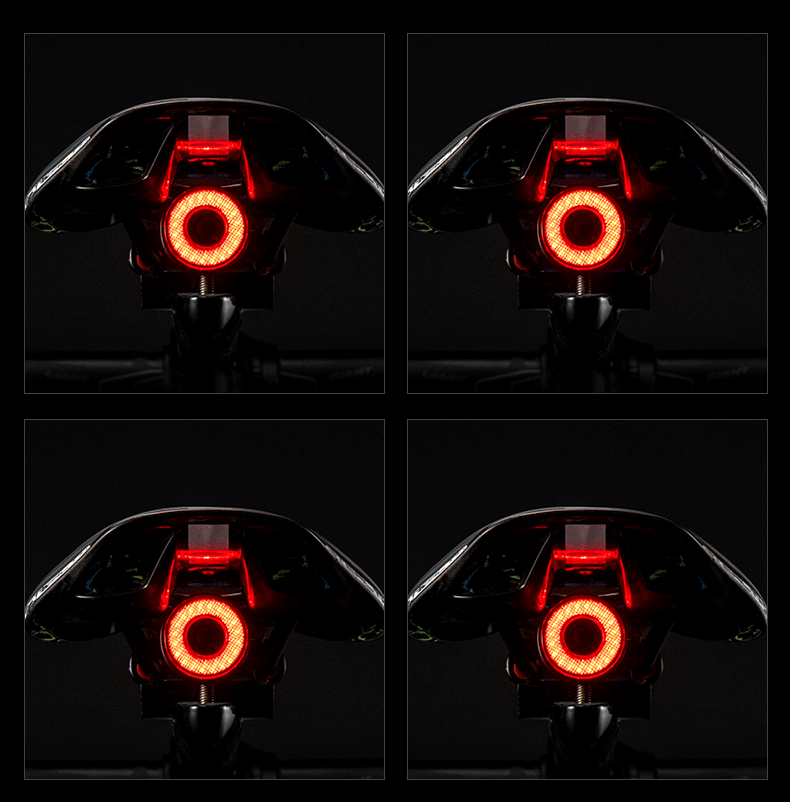 Q50 Light